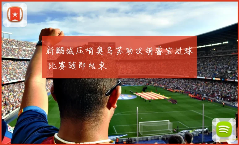 新鹏城压哨奥乌苏助攻胡睿宝进球 比赛随即结束