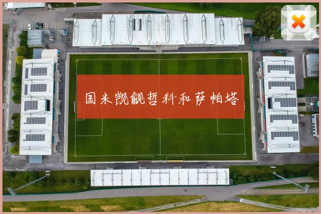 国米觊觎哲科和萨帕塔
